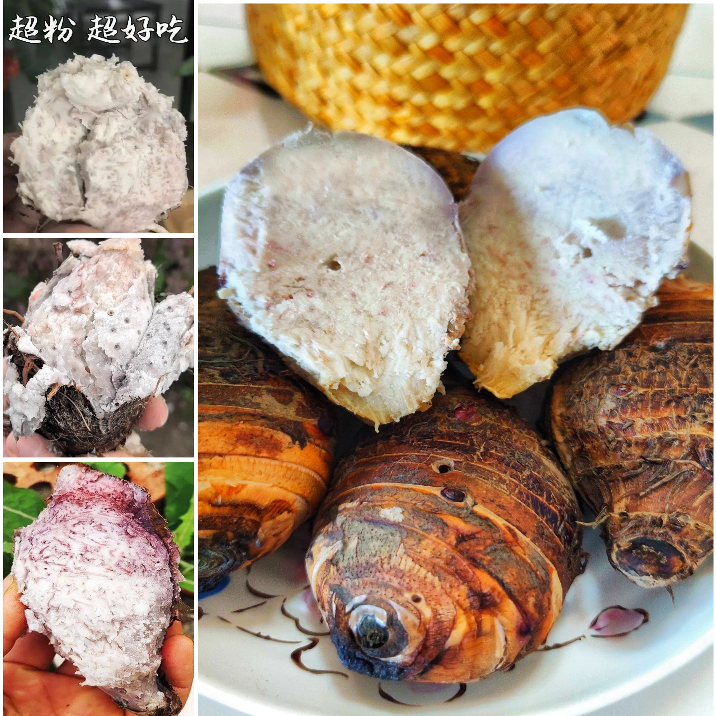 广西荔浦芋头仔小芋头芋艿槟榔芋仔产地直发 单果60-250克 帯箱8.87-9.32斤