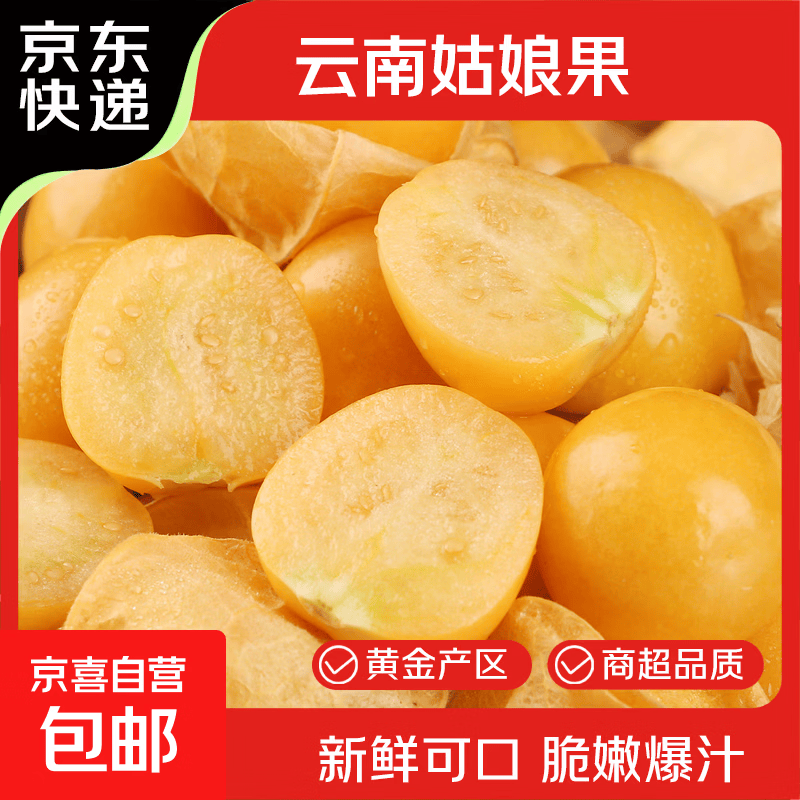 京喜加东北菇娘果辽宁灯笼果姑娘果当季水果酸甜可口产地直发单果3g+ 带箱250g【尝鲜】