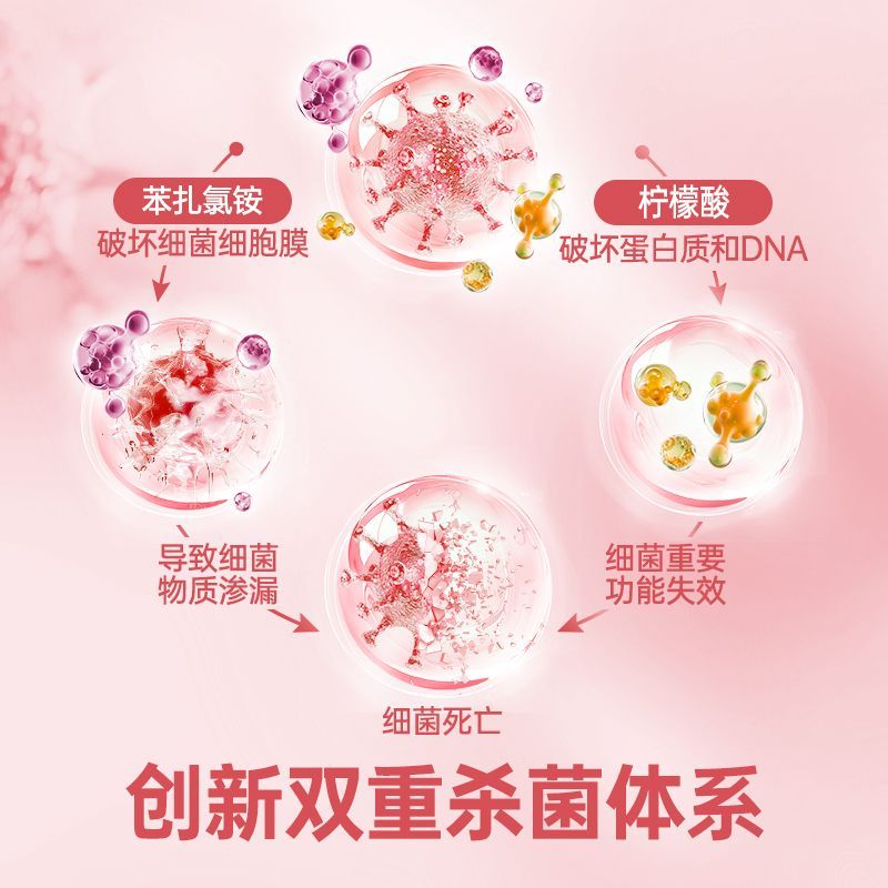 滴露（Dettol）自然香氛消毒液母婴衣物混洗杀菌植物温和持久留香消毒水 滴露香氛衣物消毒液1L*2瓶