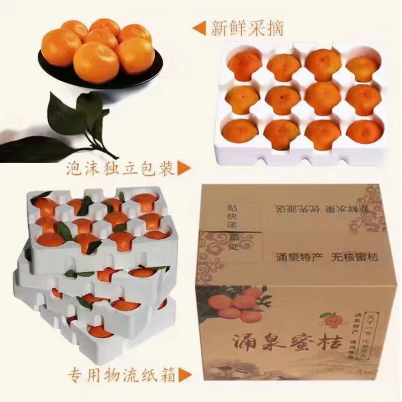 蒲恋临海涌泉蜜桔【顺丰快递-多地次日达】新鲜蜜桔黄岩橘子水果送礼 S+级特级果丨单果60-70mm 5斤装【精美礼盒-送礼力荐】净重4.5斤