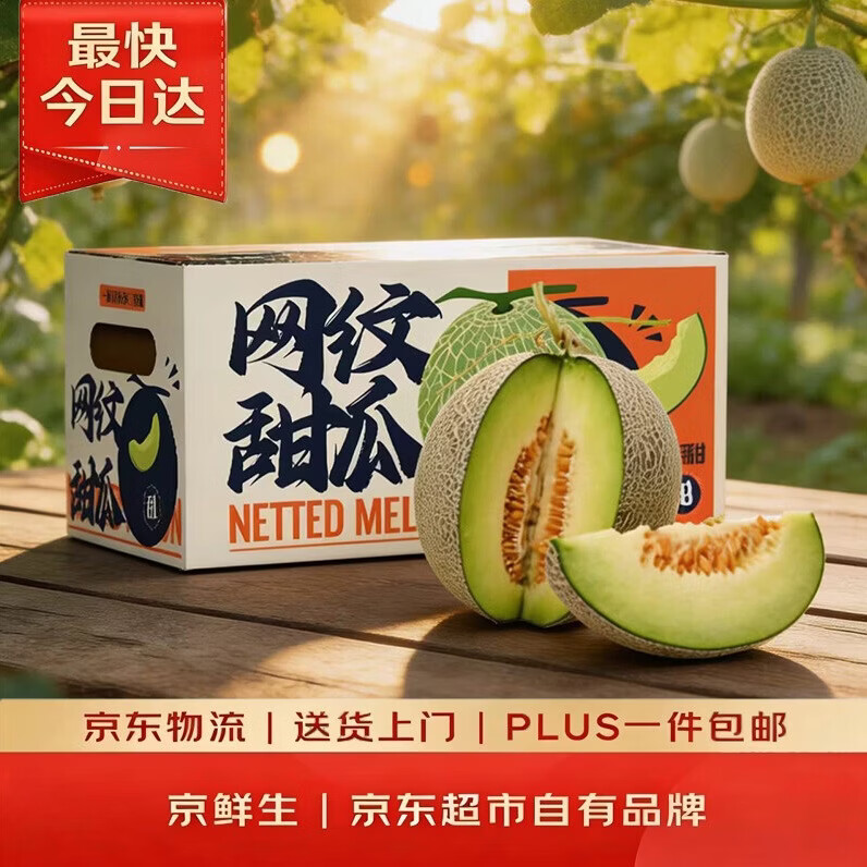 京鲜生 冰淇淋网纹蜜瓜 2粒装 净重4-5斤 单果2斤起 生鲜水果中秋礼盒