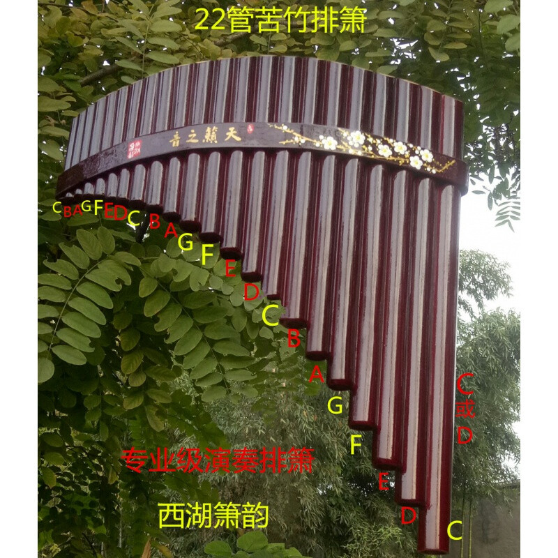 西湖簫韻22管苦竹排簫.演奏級(jí)。 棗紅色.C.