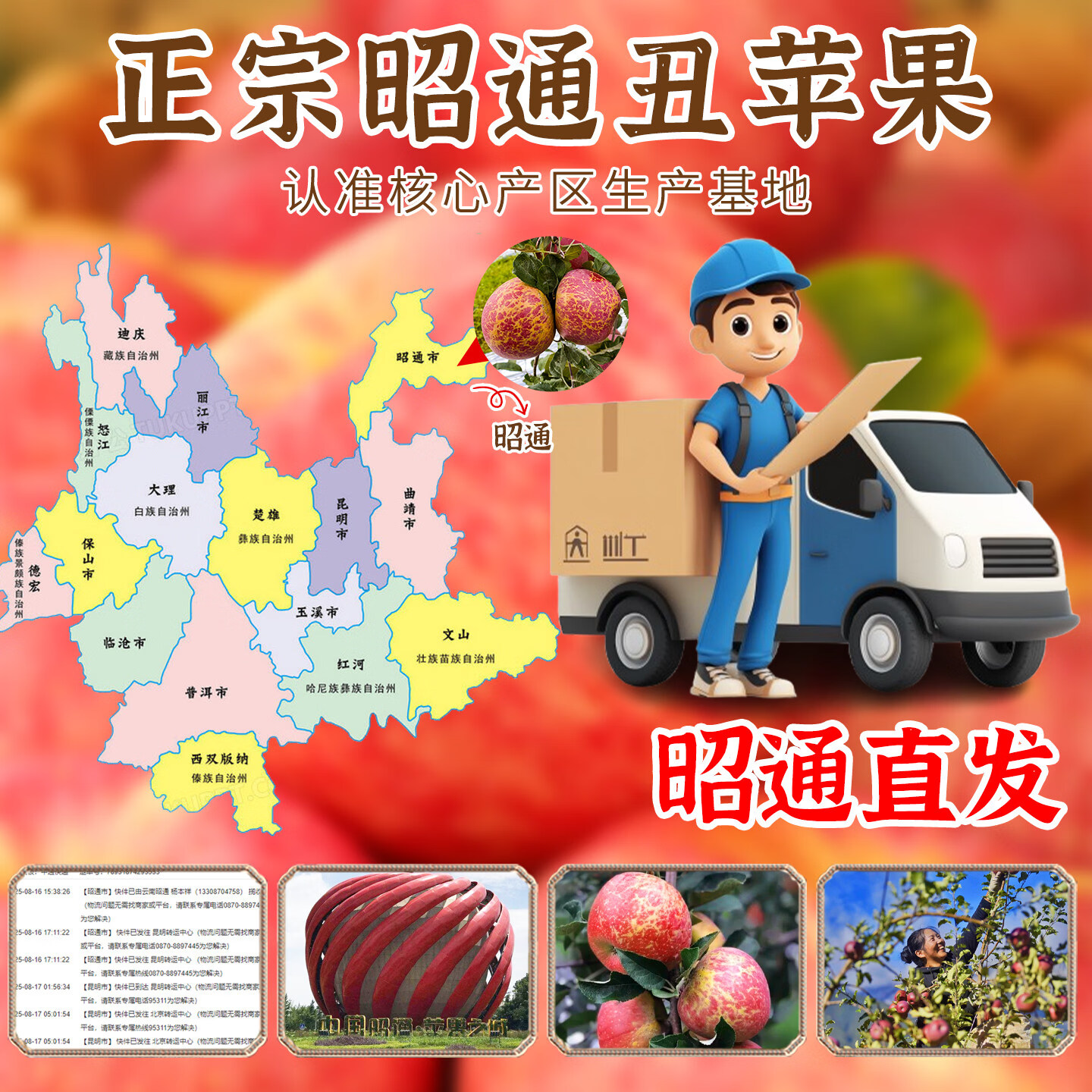 正宗云南昭通冰糖心苹果【多地隔日达】脆甜多汁源头直发送礼首选 5斤【精挑果-70mm起】净重4.5斤
