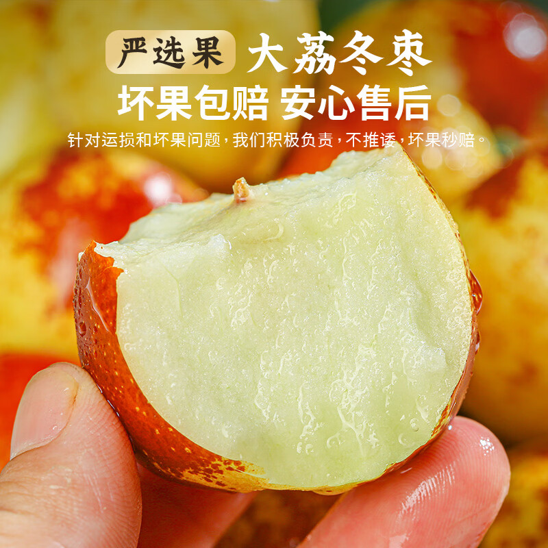 优味集正宗陕西大荔冬枣新鲜枣子应季水果脆甜鲜枣冰糖脆枣蜜枣大枣子 5斤装丨小果8g+丨净4.5-5斤