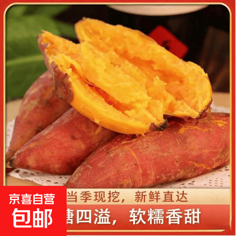 现挖沙地蜜薯红薯新鲜农家糖心番薯烤地瓜软糯批发黄心包邮 沙地蜜薯9斤装中大果 含箱