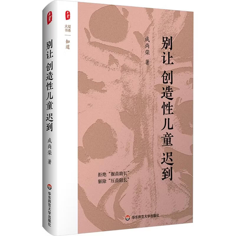 大夏书系·别让创造性儿童迟到 华东师范大学出版社 成尚荣 著 精装 书籍 图书