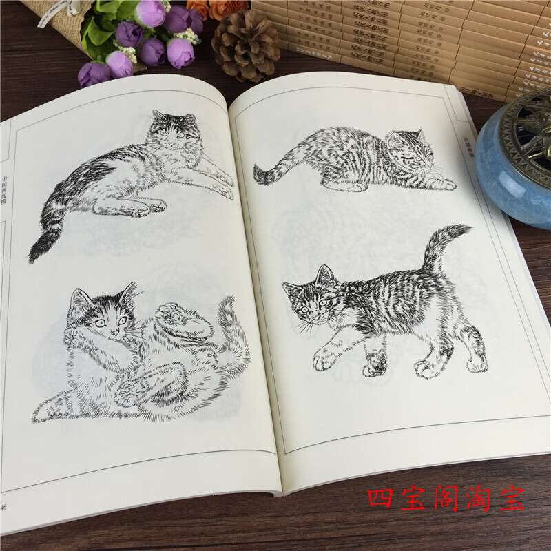 百猫画谱 线描白描画谱 绘画动物白描底稿 工笔底稿中国画线描 猫