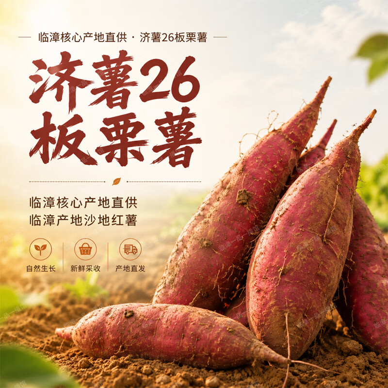 享农伯漳河沙地济薯26板栗薯 板栗口感新鲜现挖产地直供代餐健康粗粮 沙地济薯26 【带箱】大果5斤