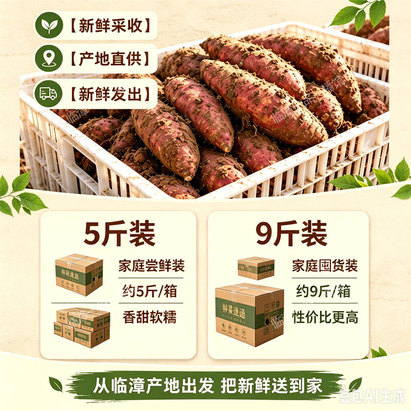 享农伯漳河沙地济薯26板栗薯 板栗口感新鲜现挖产地直供代餐健康粗粮 沙地济薯26 【带箱】大果5斤