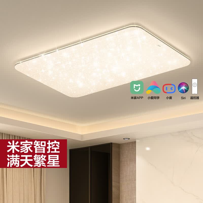 欧普照明（OPPLE）LED智能吸顶灯客厅灯现代简约浪漫繁星灯饰灯具 智能音箱/AI智控调光 闪闪满天星白1高性价比高么？