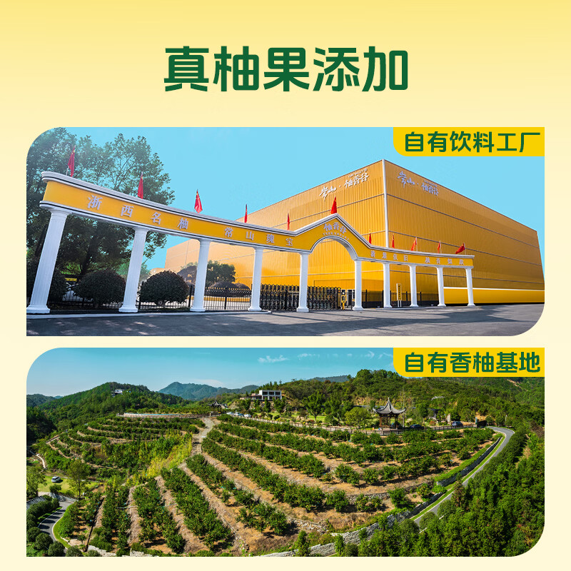 柚香谷宋柚复合果汁饮料低糖常山胡柚香柚夏季饮品中秋节礼盒大瓶果汁 宋柚汁300g*5瓶+乳酸菌300g*1