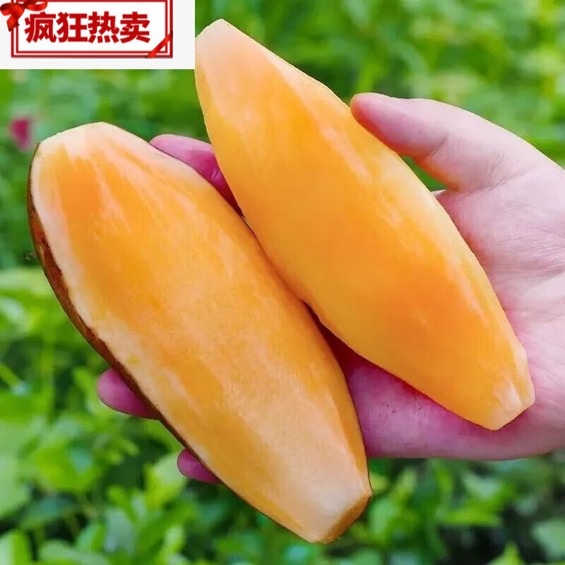 海拔天山雪莲果新鲜大果9斤应当季水果特级红心云南雪连果 气柱装3斤