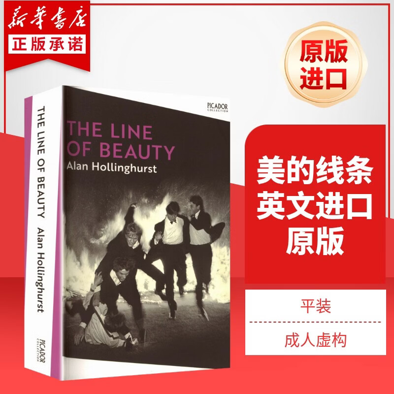 美的线条 英文进口原版THE LINE OF BEAUTY 图书