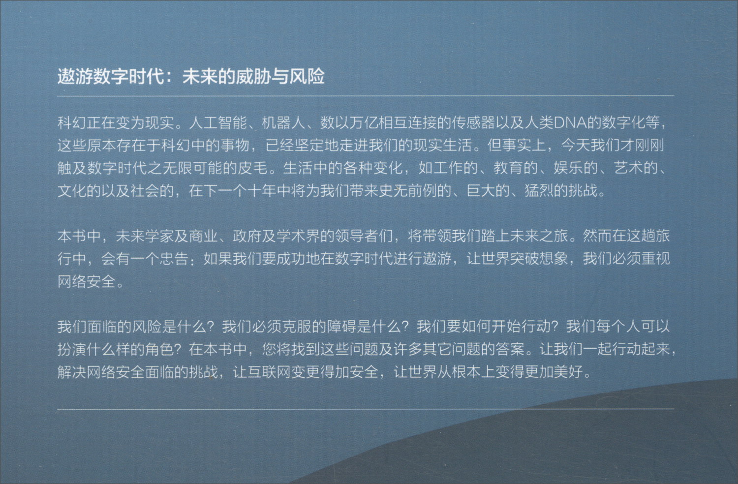 遨游数字时代：全球IT高管网络安全秘籍