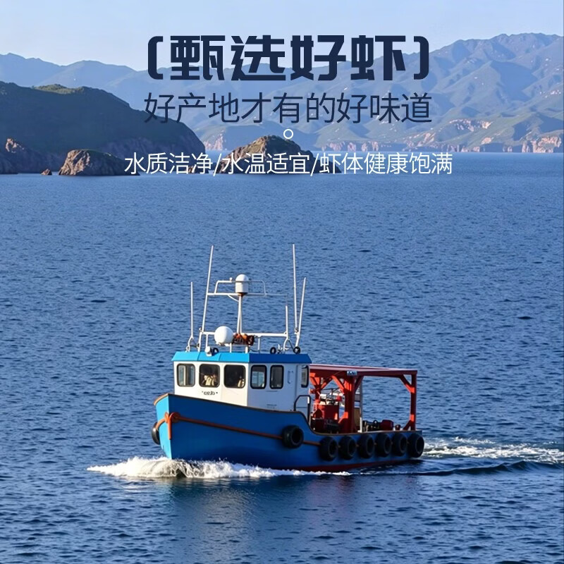天纵良材厄瓜多尔白对虾 鲜活冷冻大虾白虾鲜活青虾海虾对虾生鲜 中秋送礼 甄选白虾 3斤(净重) 14-17cm
