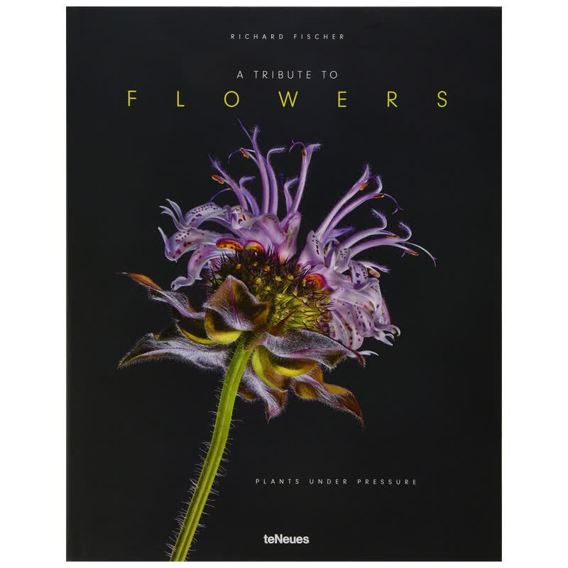 a tribute to flowers 对花的致敬 植物花卉摄影图鉴作品集 植物摄影