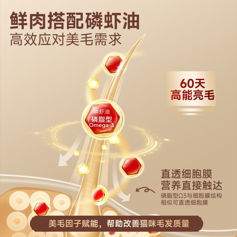 图 6