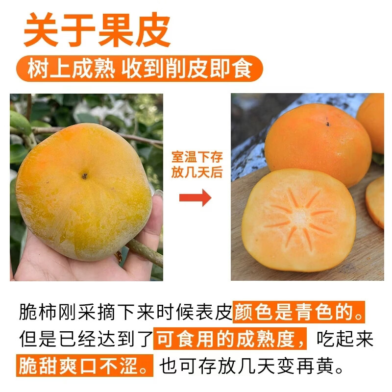 果站长应季水果脆柿新鲜现摘巧克力柿子 脆甜多汁/用质量赢口碑 净重4.5斤(单果110g+)