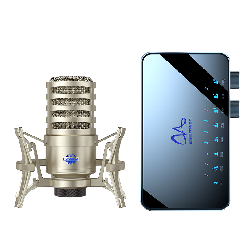 魅聲 T9-H3 機(jī)架精調(diào)藍(lán)牙伴奏 外置聲卡48V麥克風(fēng) 唱歌喊麥錄音主播直播設(shè)備全套 電腦手機(jī)通用話筒
