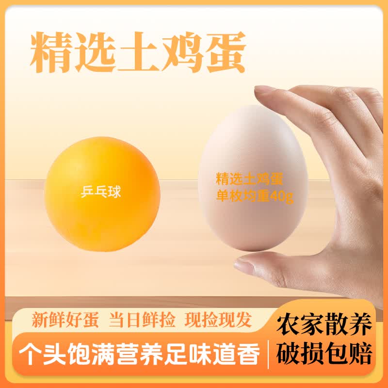 臻选鲜鸡蛋 约40g/枚 4枚净重不低于160g 商品图片3