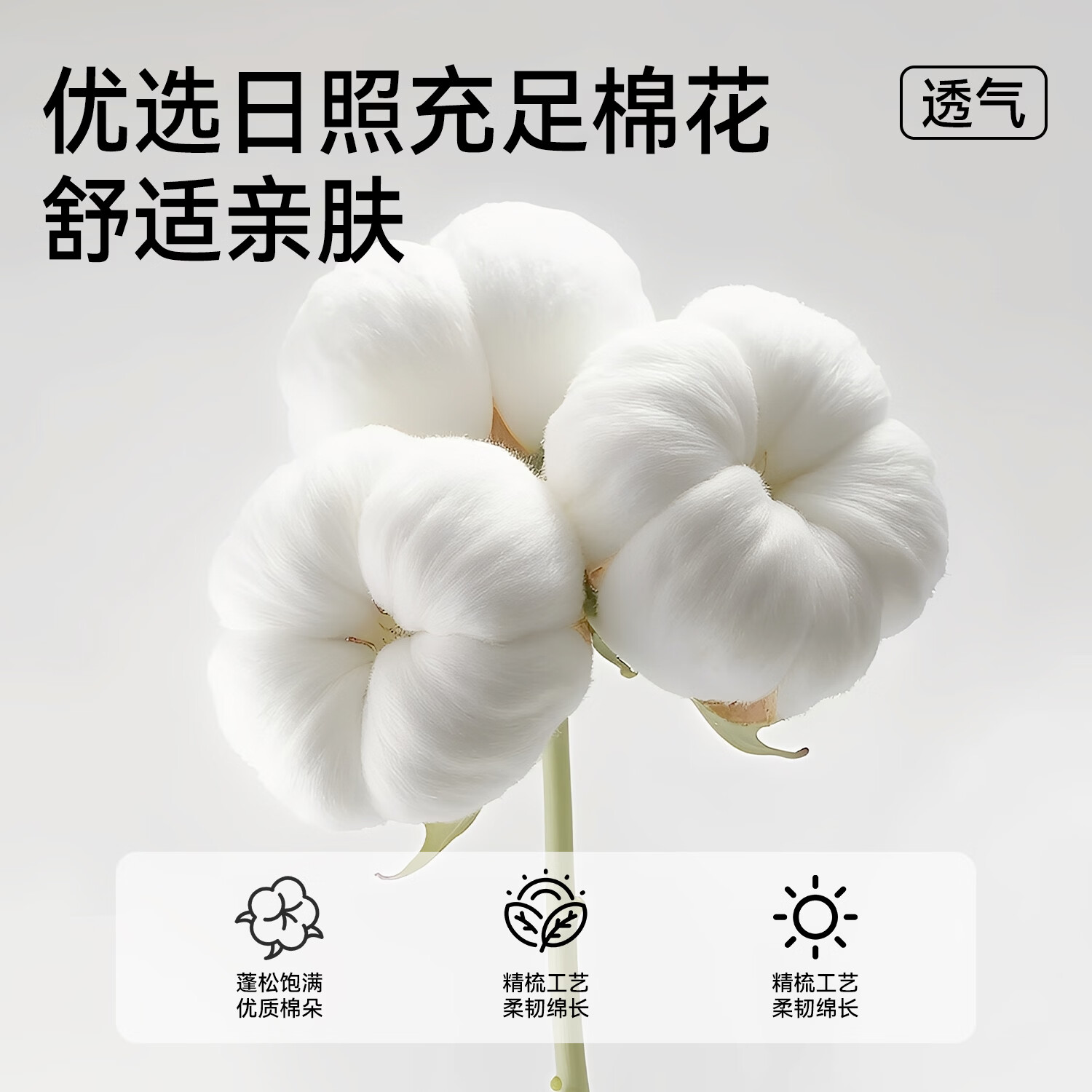 都市丽人【10A抗菌】2026新款女士保暖内衣100%纯棉柔软锁温防寒秋衣秋裤 黑色 M 建议【80-100斤】