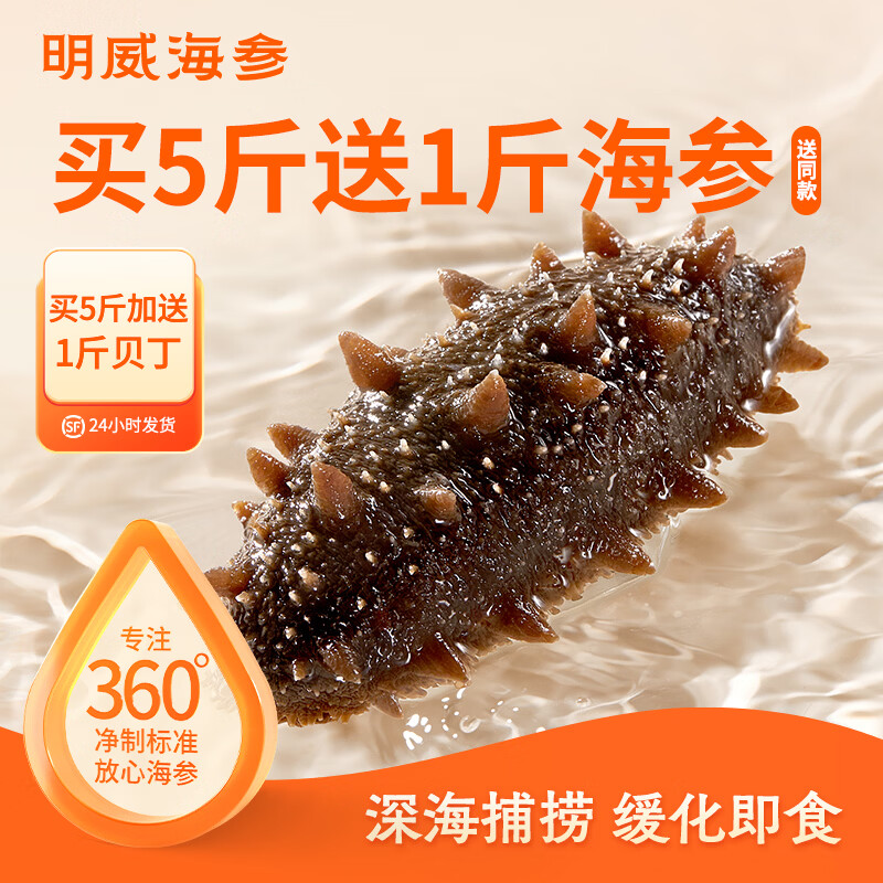 明威海参 鲜食即食海参刺参 鲜活加工独立包装单个装开袋即食冷冻海鲜礼盒 7-9头（1斤） 京东折扣/优惠券