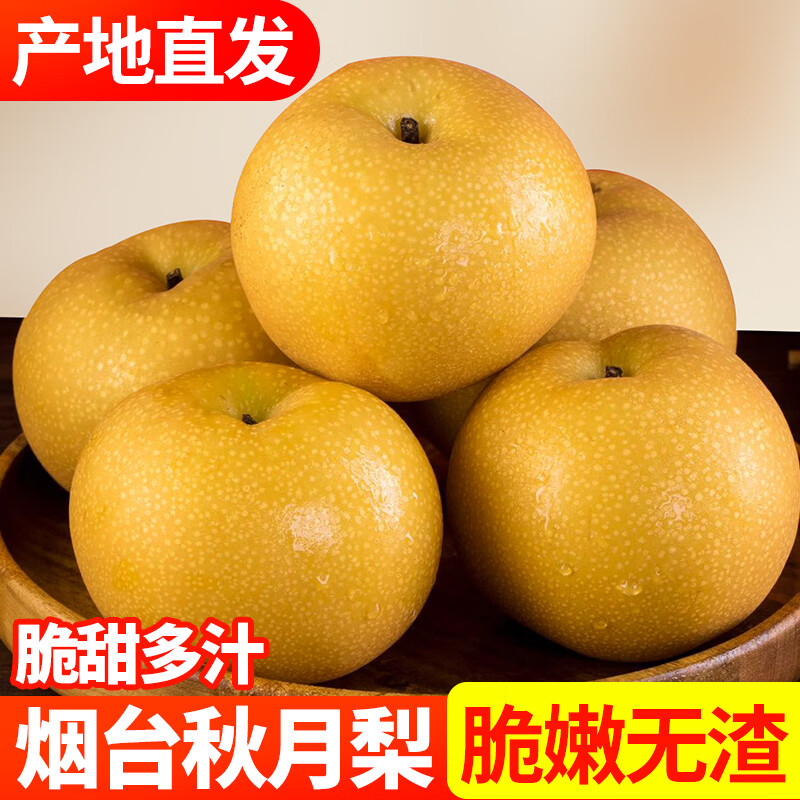 升阳农场烟台秋月梨正宗产地现摘新鲜脆甜爆汁当季应季水果 单果350g起,净重4.5斤