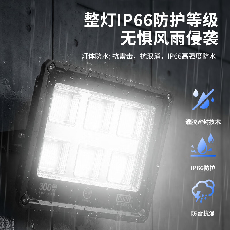 亚标led投光灯户外室外防水照明灯广场球场灯高杆照明射灯宽压110V 1000W(85V-260V通用)