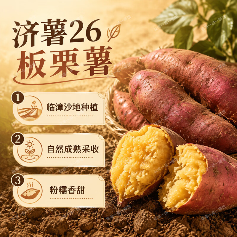 享农伯漳河沙地济薯26板栗薯 板栗口感新鲜现挖产地直供代餐健康粗粮 沙地济薯26 【带箱】大果5斤