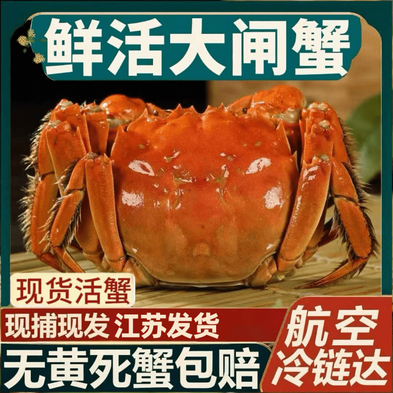 【活蟹】洪泽湖大闸蟹鲜活螃蟹母3.5-3.8公4.0-4.3两6对12只批发 全母【2.5-2.8两】10只