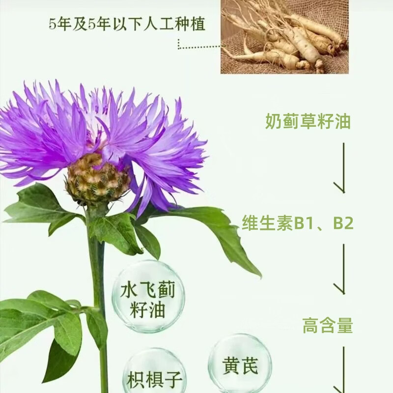 朕皇北京同仁堂奶蓟草籽油人身葛根黄芪片 奶蓟草籽油人身葛根黄芪片*3瓶