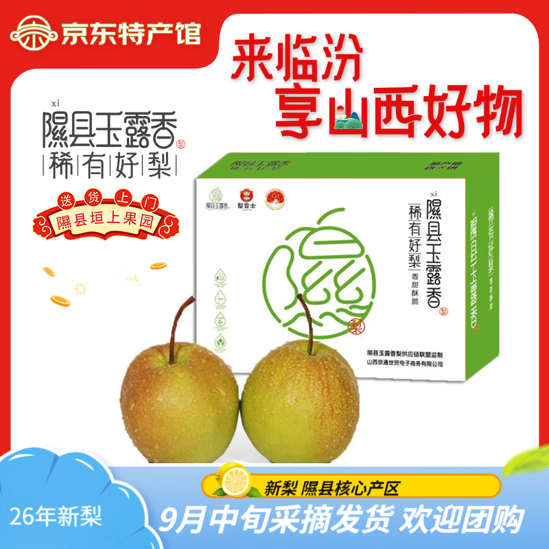香凝梨园 山西隰县玉露香梨 临汾馆精品水果生鲜梨隰县特产礼盒装 12颗大果约9斤