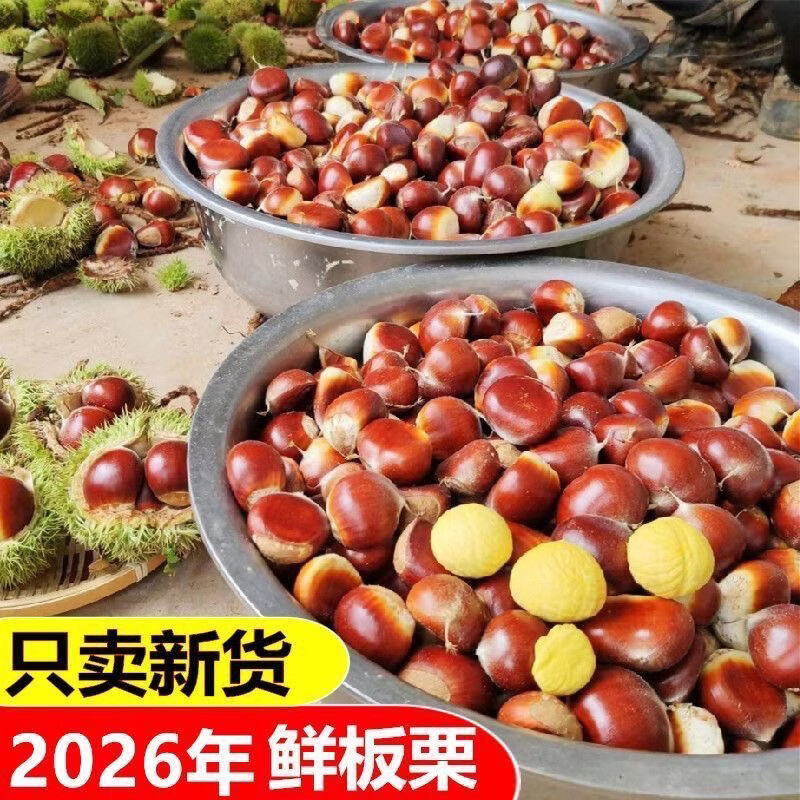 丹东老树板栗5斤 19.9元 - 86线报 丹东老树板栗5斤 19.9元 - 86线报
