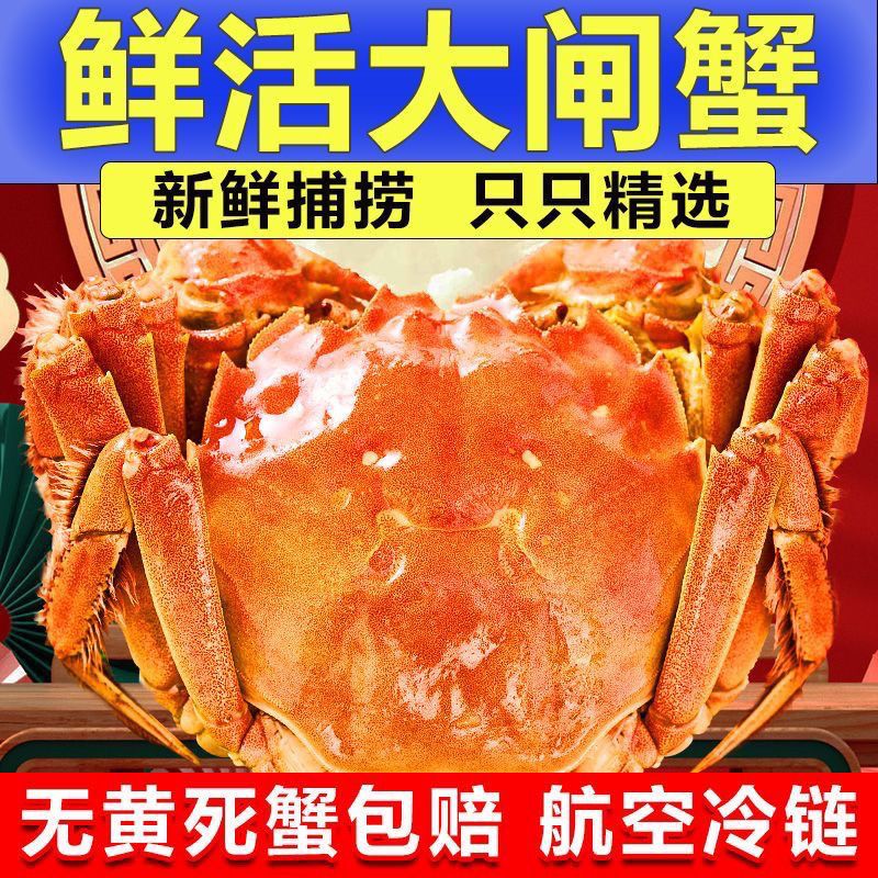 【活蟹】洪泽湖大闸蟹鲜活螃蟹母3.5-3.8公4.0-4.3两6对12只批发 全母【2.5-2.8两】10只