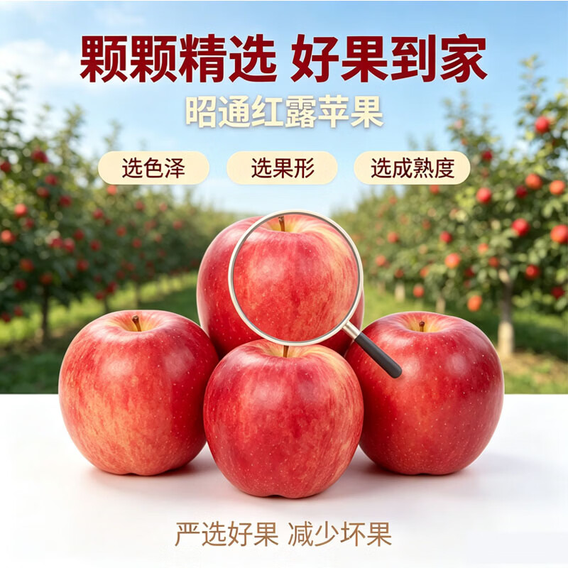 中秋送礼红露苹果礼盒新鲜红露云南昭通丑苹果新鲜采摘冰糖心水果 红露苹果4.5斤（箱未满量已足 论斤不论个） 80g+（1斤小果 不推荐）泡沫托+彩箱+网套发货
