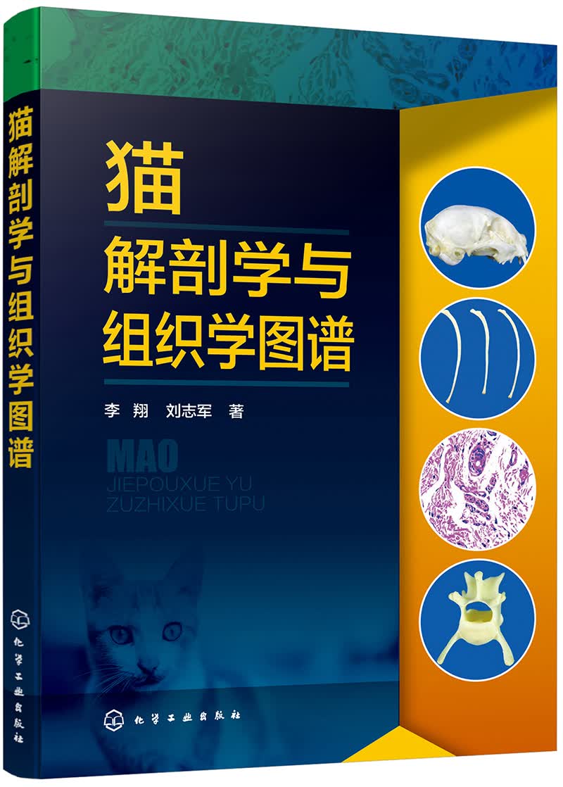 猫解剖学与组织学图谱（全彩、经典）
