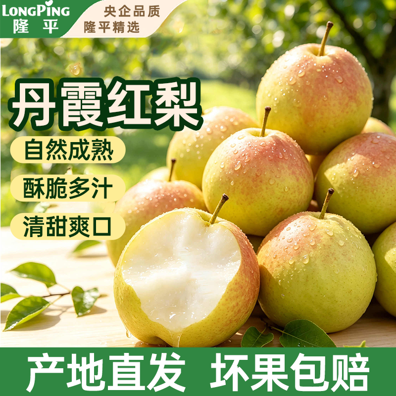 隆平 丹霞红梨 新鲜采摘脆甜多汁 应季水果 净重4.5斤 单果220g+