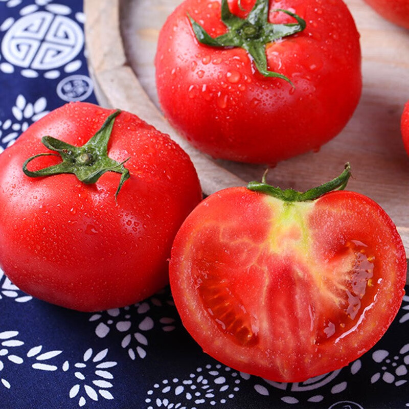 农大姐妹 【顺丰】西红柿 大番茄 新鲜水果沙瓤西红柿自然熟洋柿子西红柿 精选果5斤（沙瓤自然熟）