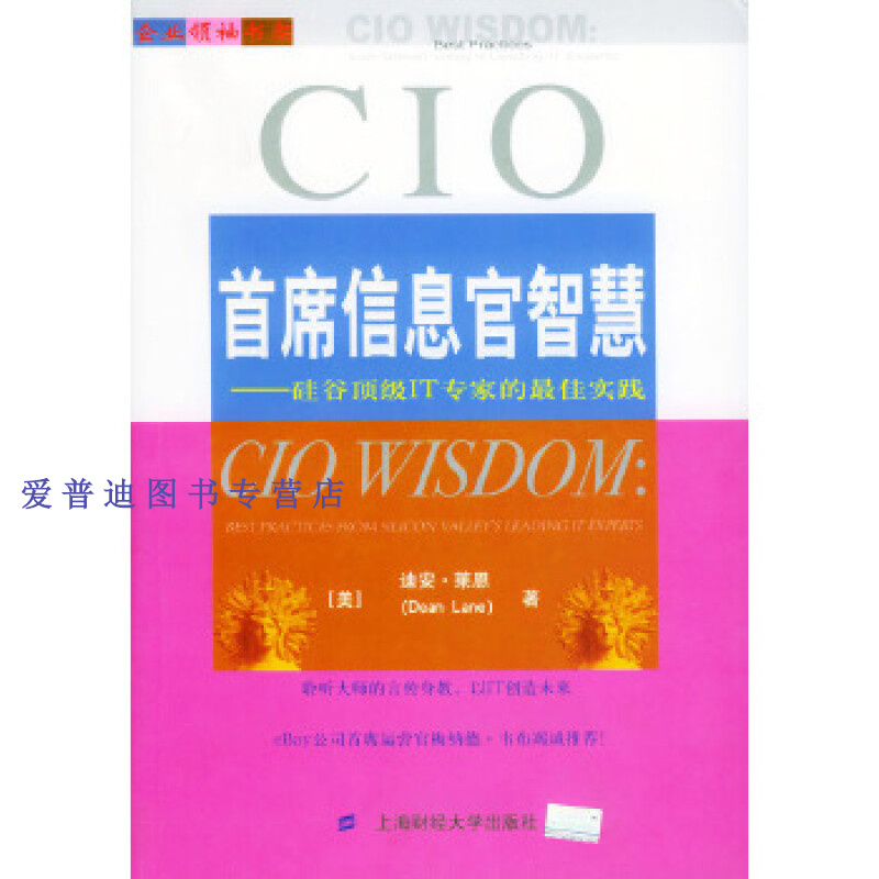 首席信息官智慧 硅谷顶 级it专家的 佳实践 企业领袖书架 戴伟辉