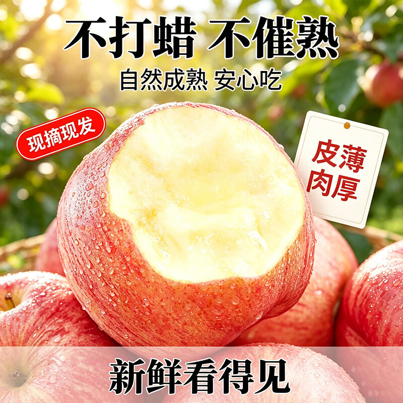 莎凰山西运城红富士苹果 新鲜水果当季现摘 脆甜多汁自然果香果园直发 净重4.5斤【果径75mm+】
