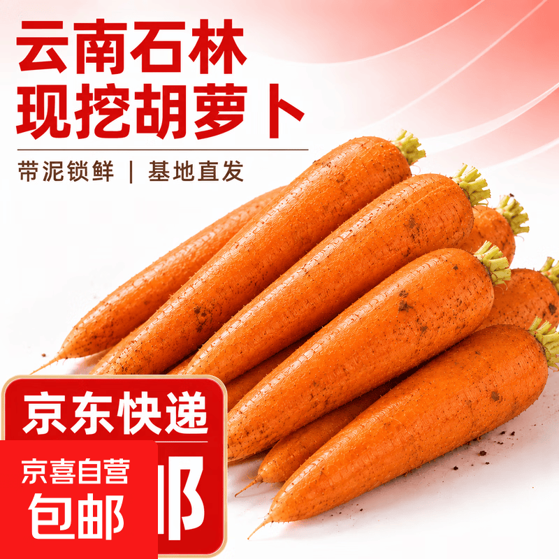 云南生态大胡萝卜脆爽多汁地里刚挖出新鲜带土生态应季有机款 新鲜胡萝卜2斤带泥