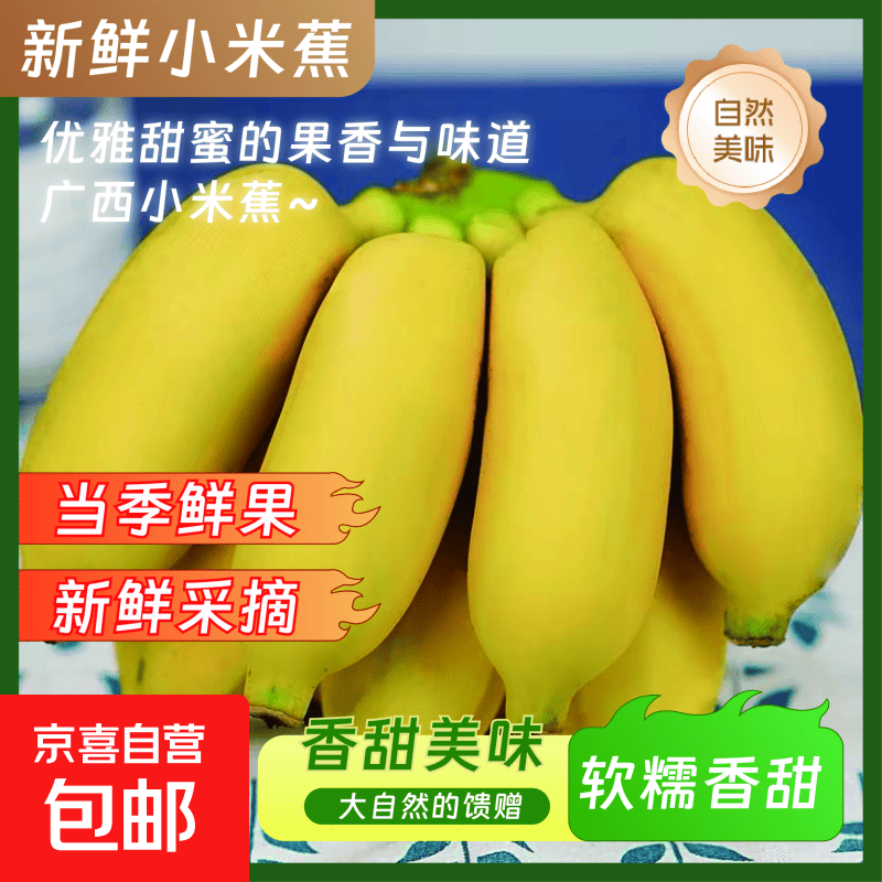 京喜加正宗广西小米蕉网红小香蕉新鲜孕妇宝宝水果非苹果蕉当季水果 带箱5斤 酸甜软糯