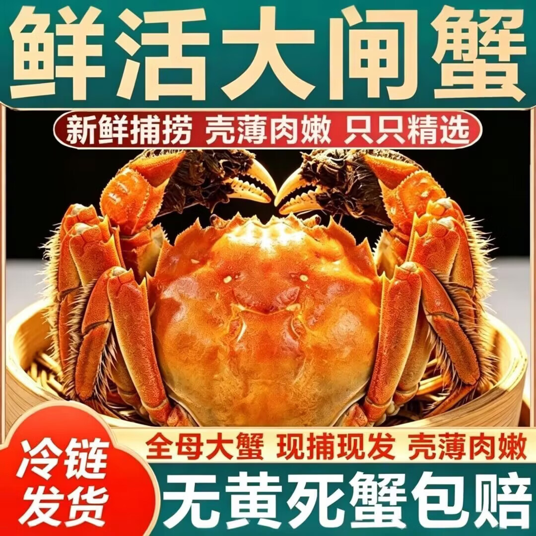 【活蟹】洪泽湖大闸蟹鲜活螃蟹母3.5-3.8公4.0-4.3两6对12只批发 全母【2.5-2.8两】10只