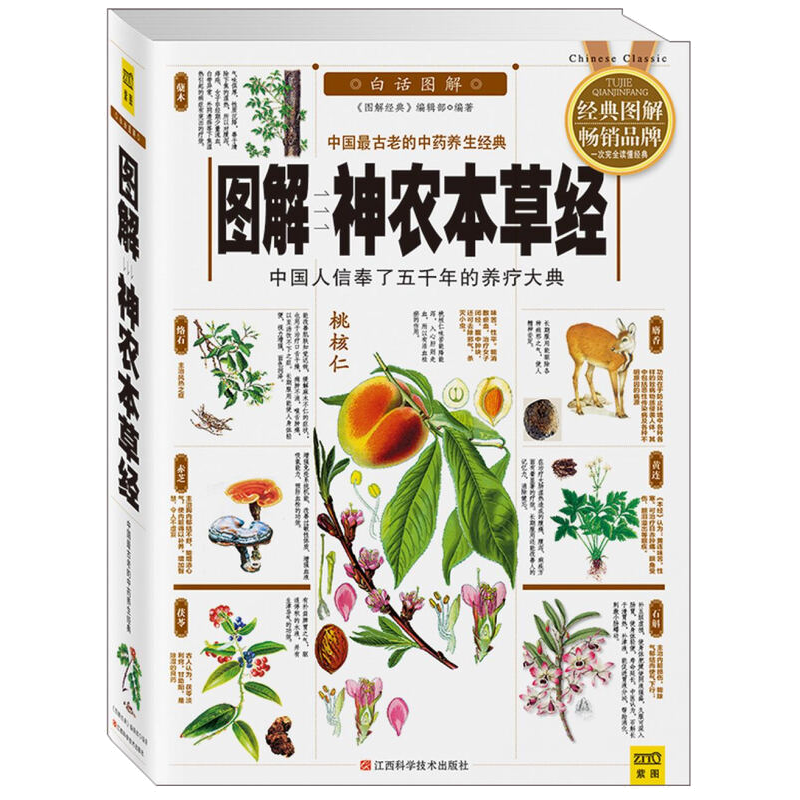 【包邮 】图解神农本草经：中国人信奉了五千年的养疗大典图书籍