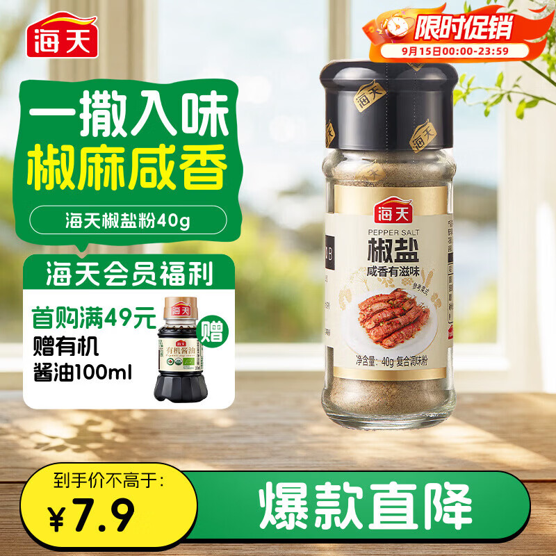 海天 椒盐粉 40g 烧烤煎炸 基围虾皮皮虾烧烤撒料蘸料调料