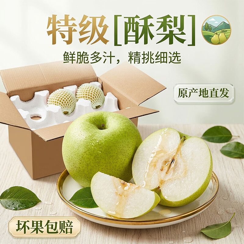 雪芬宁陵金顶谢花酥梨 当季现摘产地直发 脆甜多汁酥脆无渣 坏果包赔 酥梨净重4.5斤【单果250g+】 京东折扣/优惠券