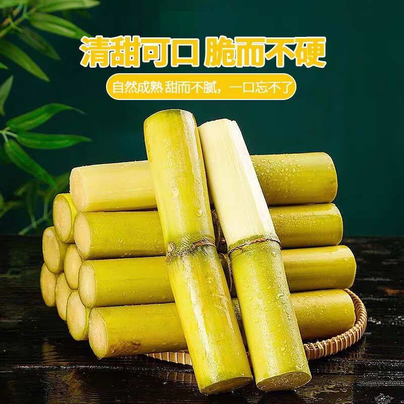 豔疅正宗广西黄皮甘蔗特产新鲜应当季生鲜水果整箱热带水果黄皮脆甜蔗 净重9-10斤【精选中段|配刀】砍断发货