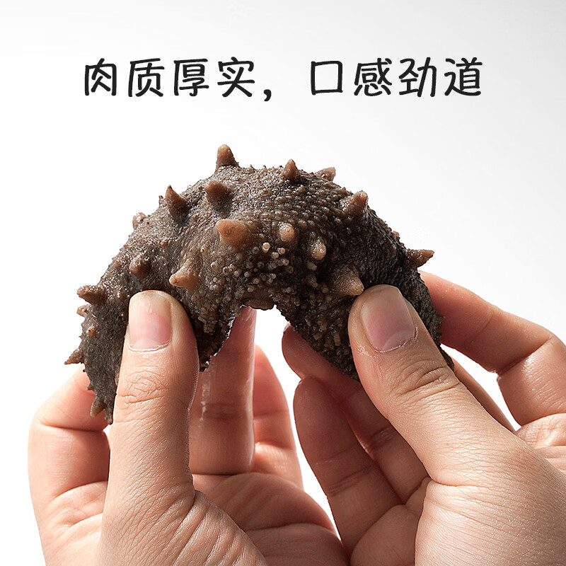 琴雨湾即食海参刺参500g(固形物不低于60%)大连海参中秋礼 即食海参4-5只(500g)