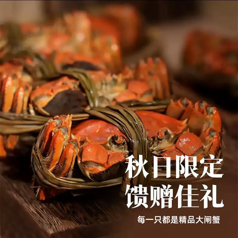 【活蟹】优鲜鸟中秋礼盒全母大闸蟹现货鲜活满黄螃蟹送礼礼盒装 母蟹2-2.3两(6只装)【精品礼盒】