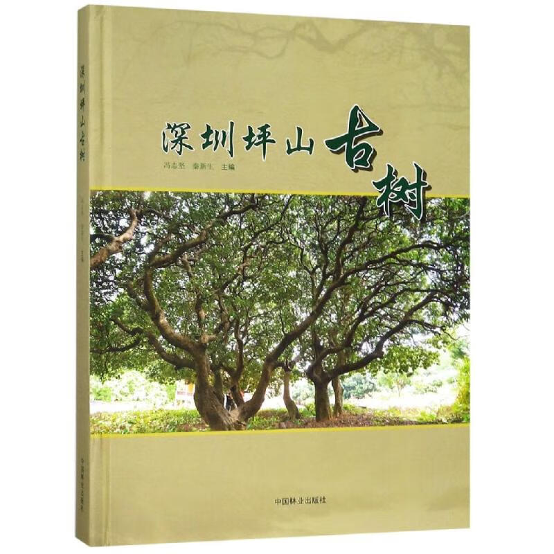 深圳坪山古树精